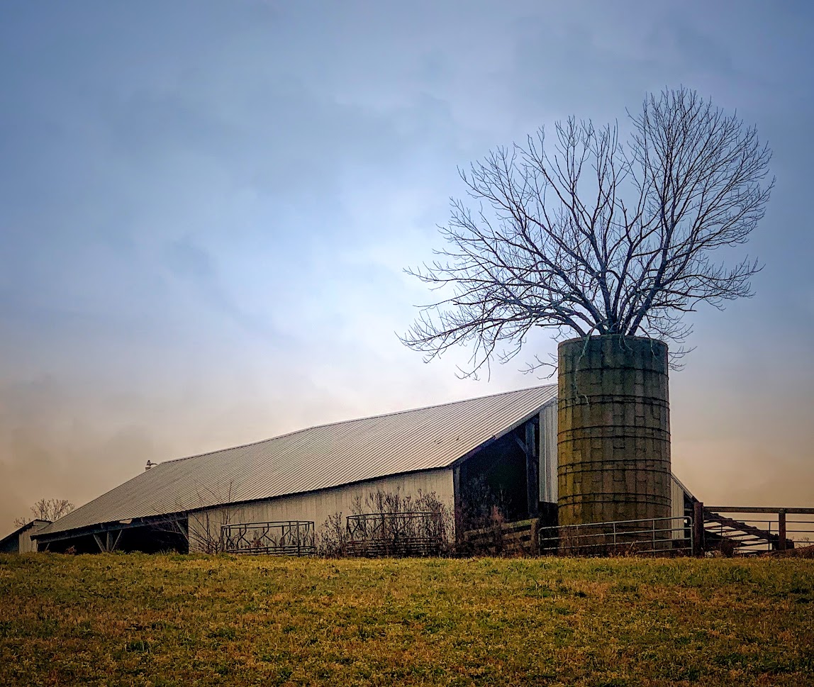 Farm Land Picture